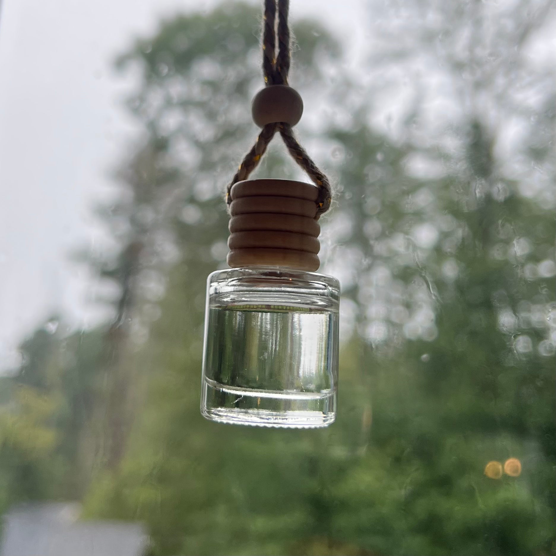 Evergreen & Apple Car Diffuser