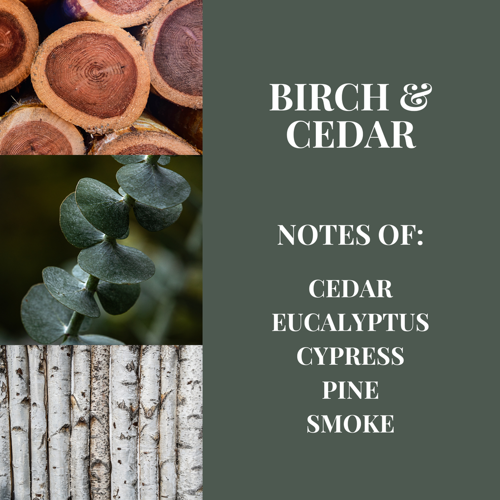 Birch & Cedar
